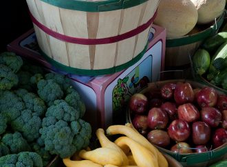 Kondisi Pangan di Indonesia: Tantangan dan Upaya Peningkatan Ketersediaan